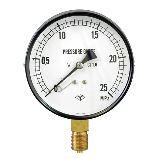 φ100mm Pressure Gauge